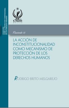 La acción de inconstitucionalidad como mecanismo de protección de los derechos humanos